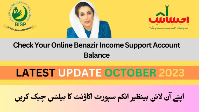 Check Your Online Benazir Income Support Account Balance