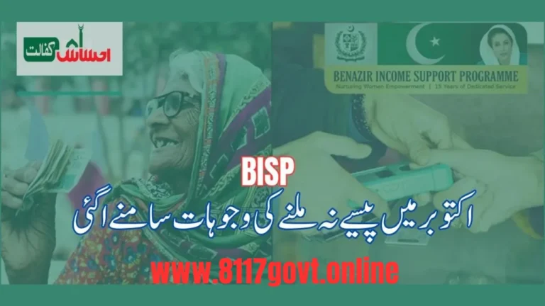 Reason Why People Not Receive BISP Payment 2023